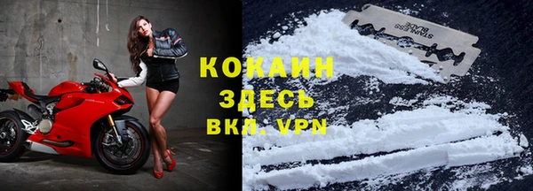 кокс Алексин