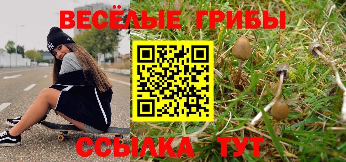 Галлюциногенные грибы Cubensis  Галлюциногенные грибы Magic Shrooms  Вход с VPN  Тверь 